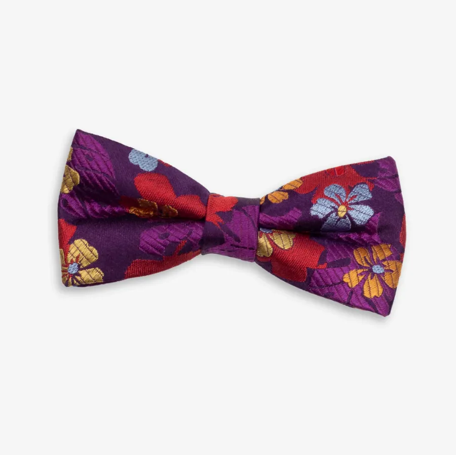 Appaman Purple Passion Bow Tie