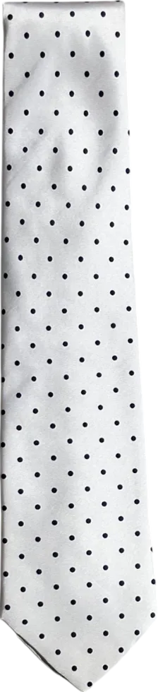 Cardinale White Spotted Silk Neck Tie One Size