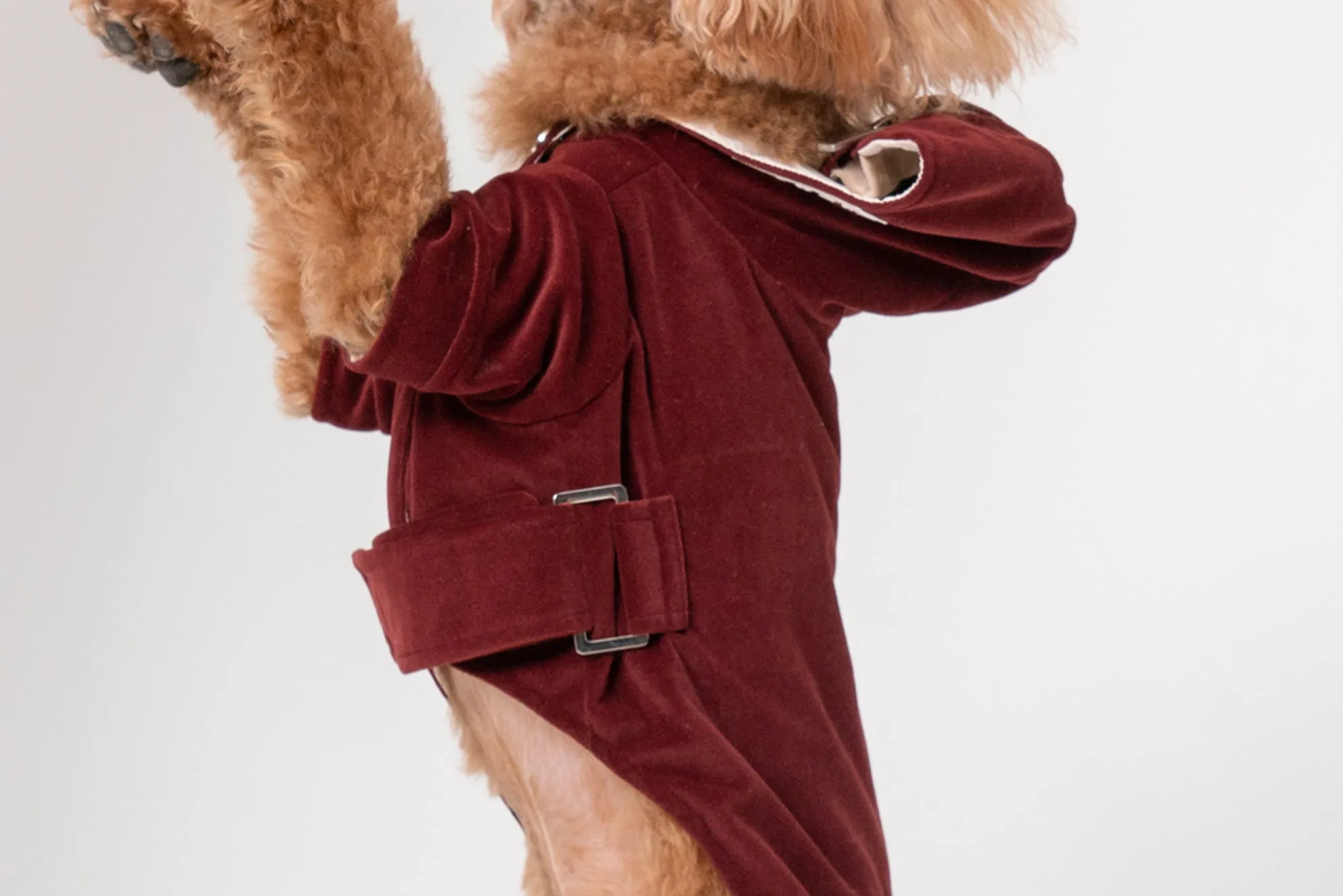 HUSTON HOODIE - DARK BURGUNDY