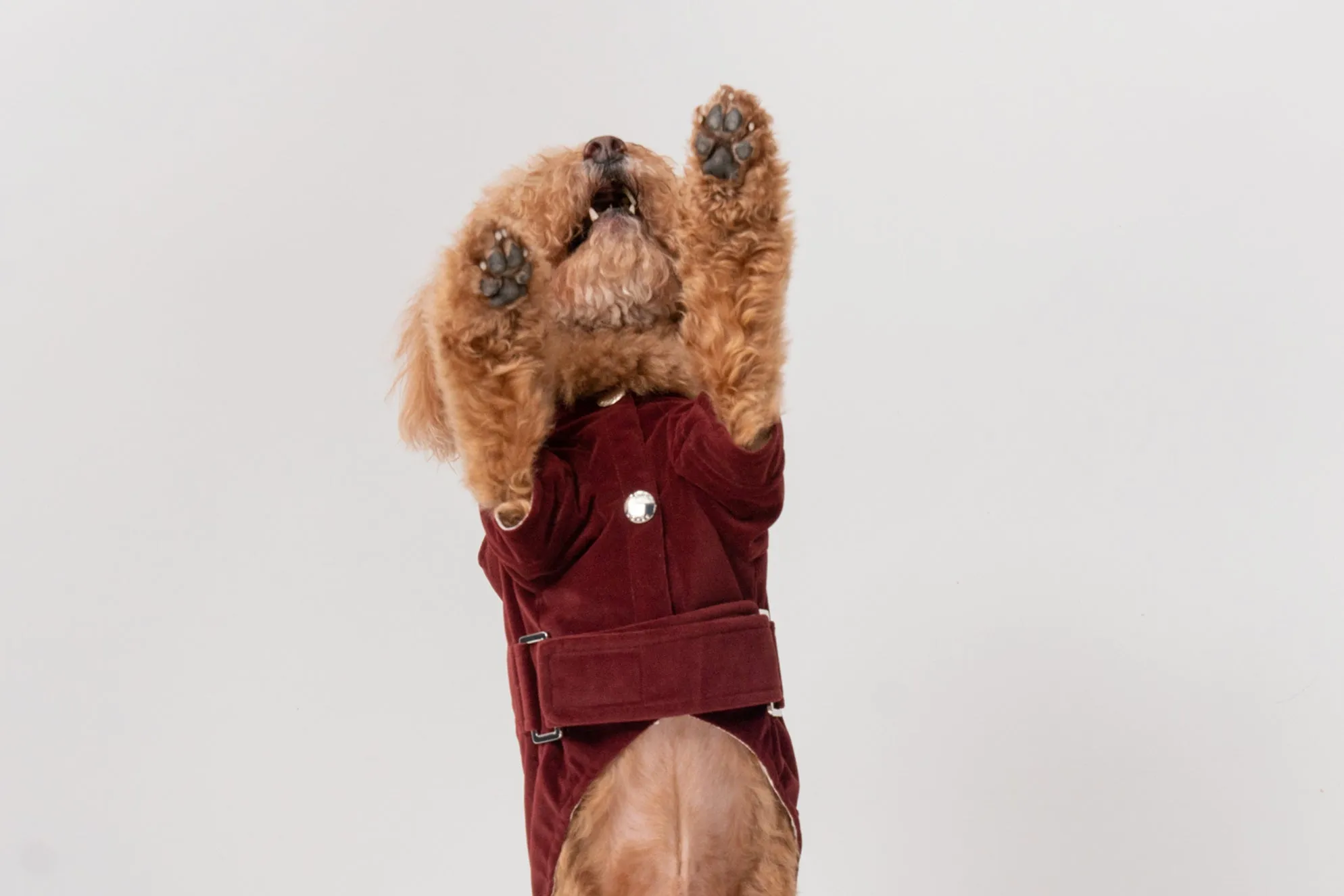 HUSTON HOODIE - DARK BURGUNDY