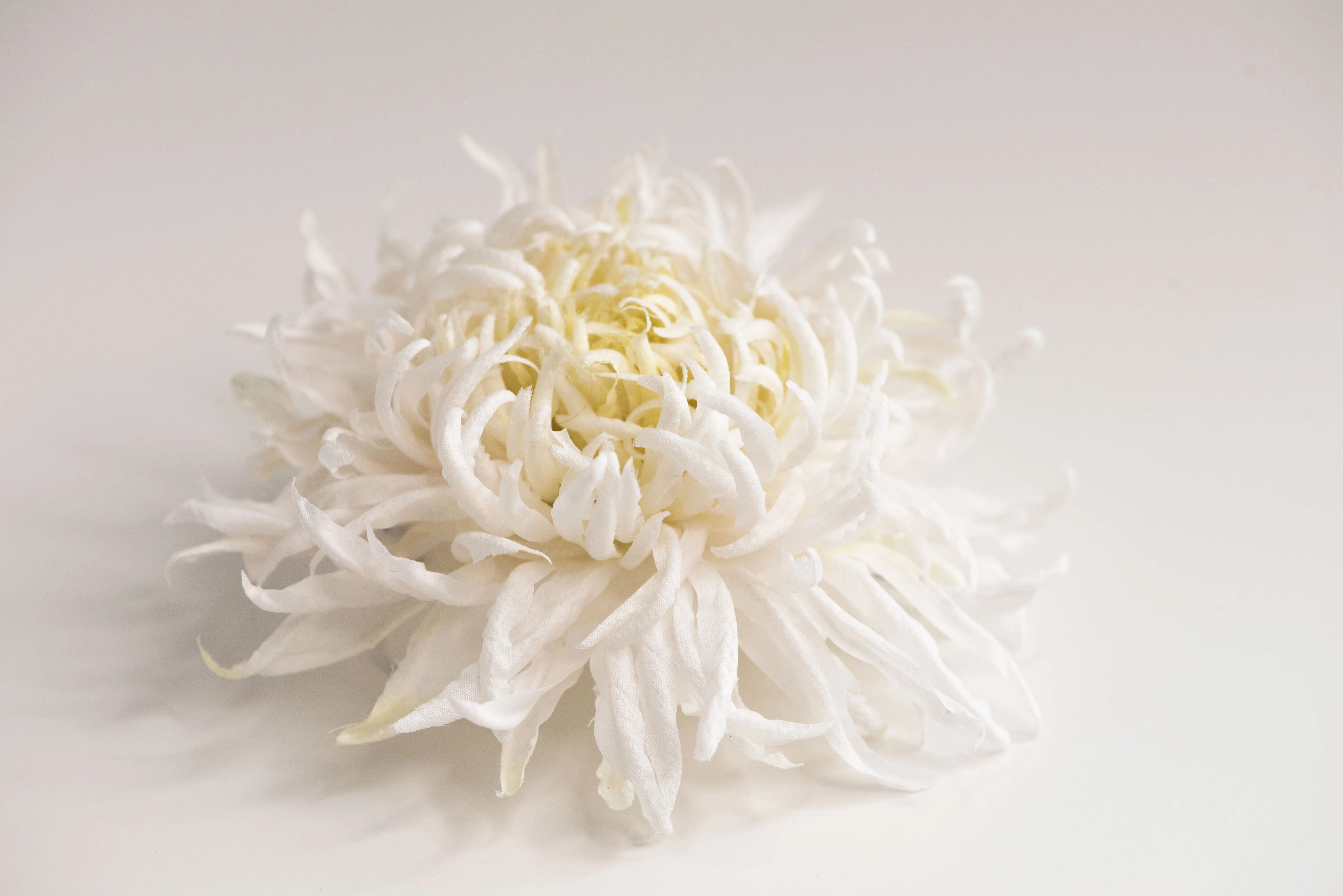 Large chrysanthemum flower brooch - ANTHEMON