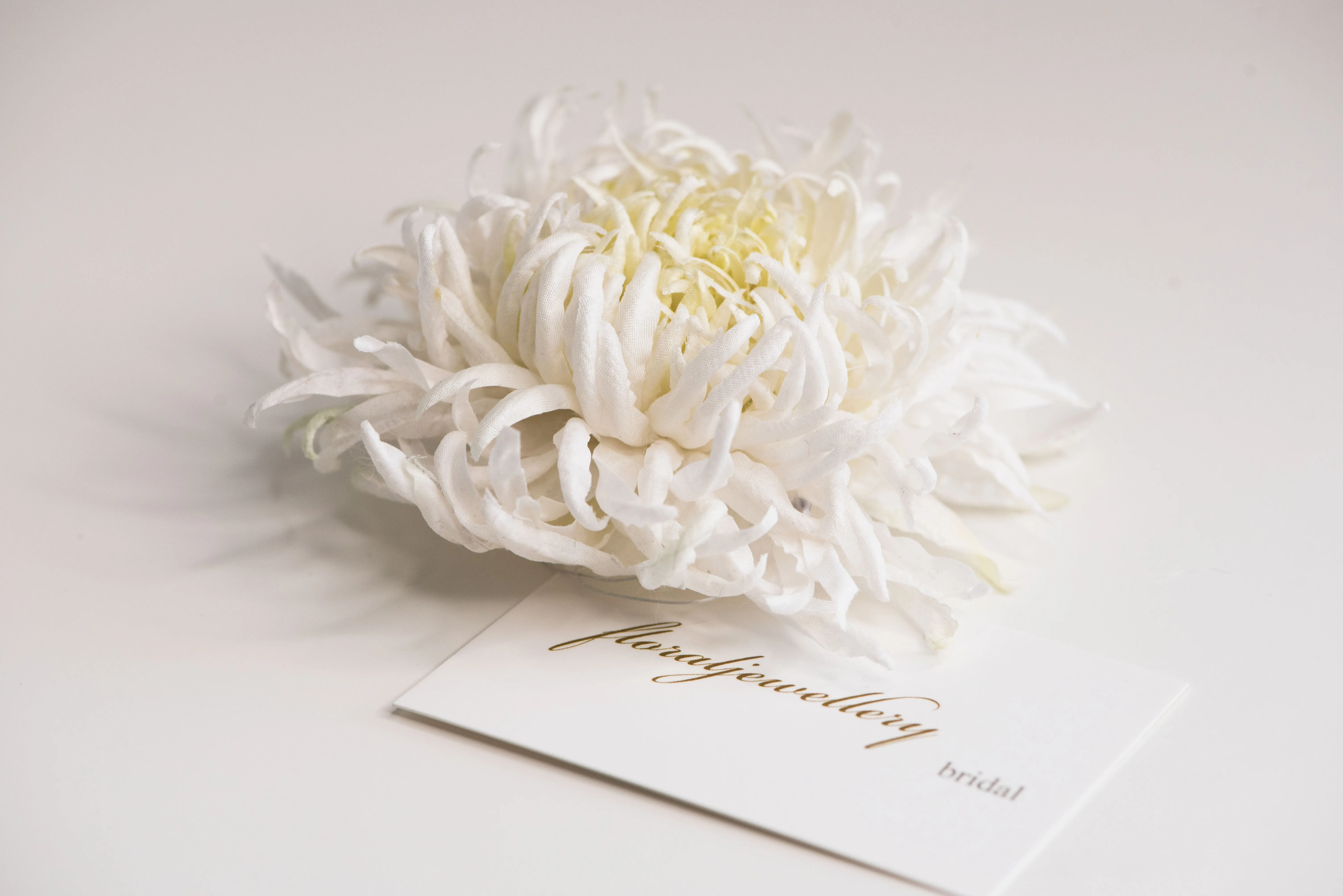 Large chrysanthemum flower brooch - ANTHEMON